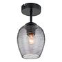 Cutler Ceiling Lamp Iron Smoke Glass 1-light 0