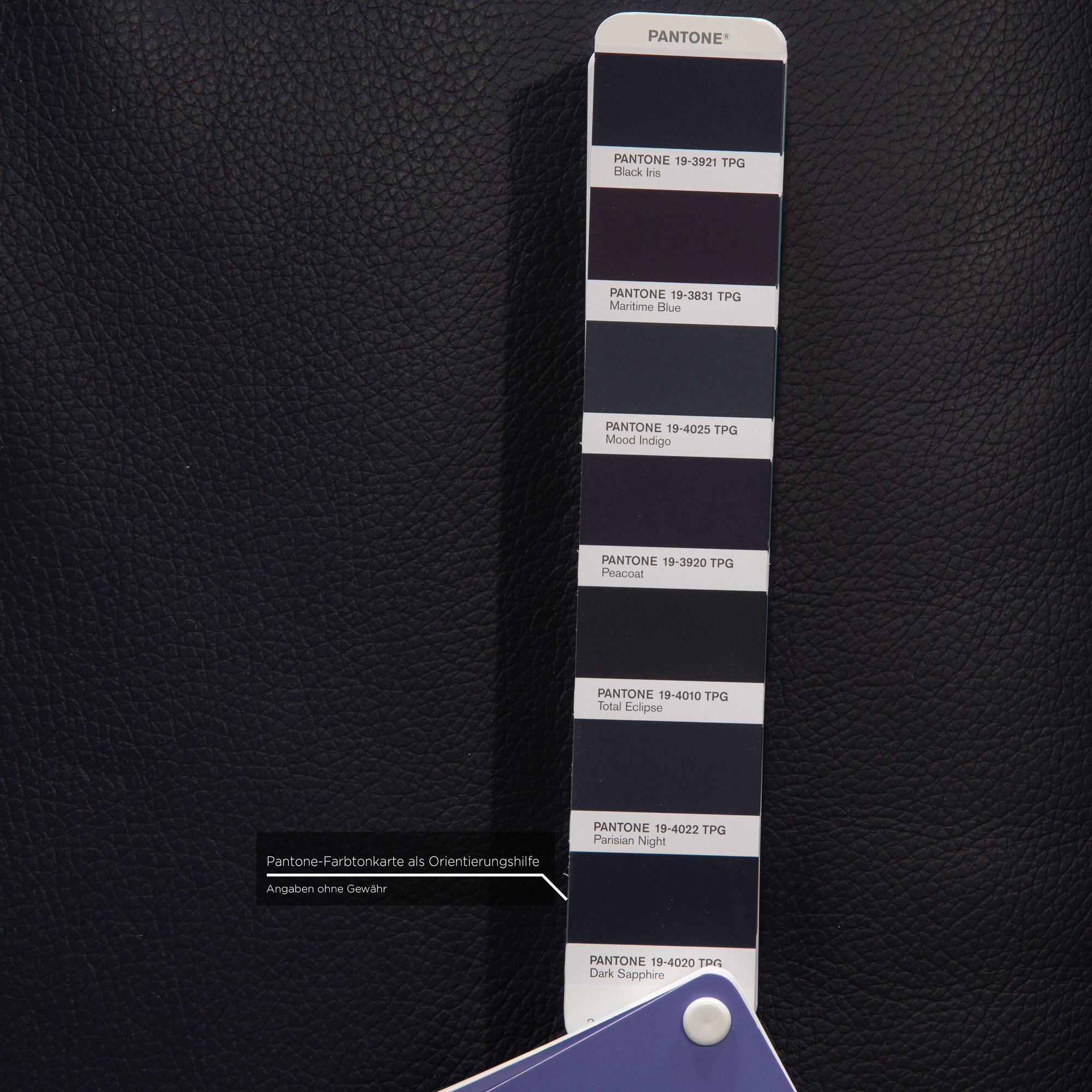 CL 300 Sofa 2-Sitzer Leder Blau 3