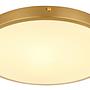 LED Ceiling Light Tibey 1-Light Acrylic Glass Iron 35 cm 3