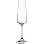 6x Paladino Sektglas Kristallglas Transparent 3