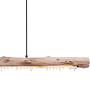 LED-Pendelleuchte Felicitas Eukalyptus Massiv Eisen 3