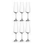 6x Paladino Sektglas Kristallglas Transparent 1