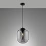 Regi Pendant Lamp Iron Smoke Glass 1-light 0