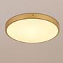 LED Ceiling Light Tibey 1-Light Acrylic Glass Iron 35 cm 1