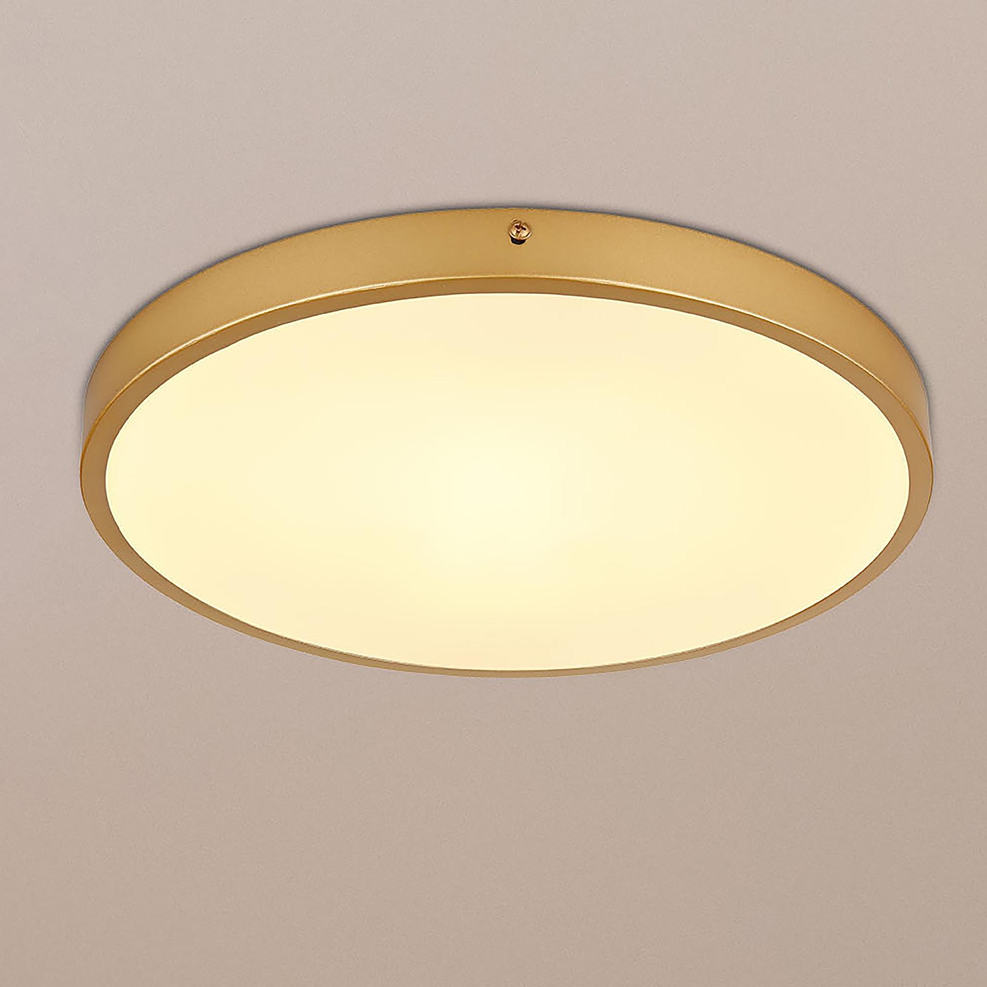 LED Ceiling Light Tibey 1-Light Acrylic Glass Iron 35 cm 1