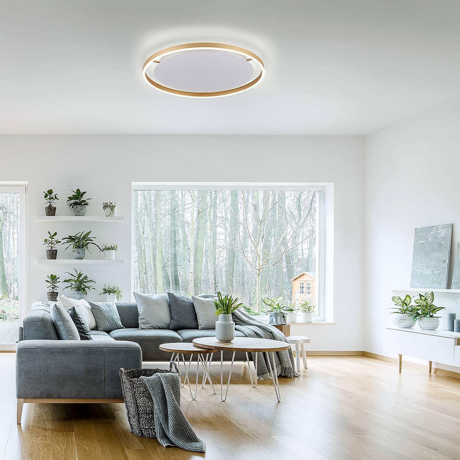 LED-Deckenleuchte Ritus Typ B Aluminium Messing 2