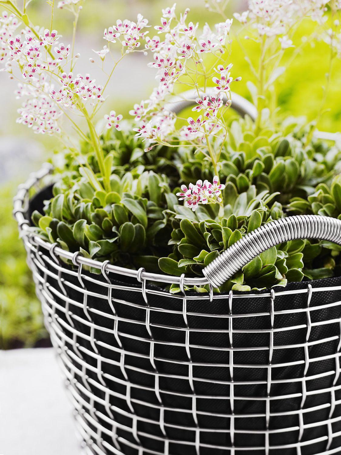 Classic 24 Korb Edelstahl Silber 2