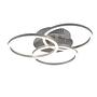 1-Flammig Circle LED-Deckenleuchte Eisen Silber 4