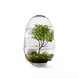 Grow Gewächshaus- Xl Transparent 0