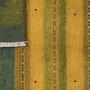 Rizbaf Gabbeh Rug Wool Multicolored 5