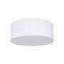 Ceiling lamp 3-light iron white 1
