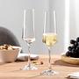 6x Paladino Sektglas Kristallglas Transparent 2