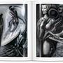Giger in Englisch 5