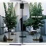 Living in Morocco. 45th Ed. 1