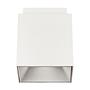Ethan 1-Spot Surface-mounted Spotlight White 2