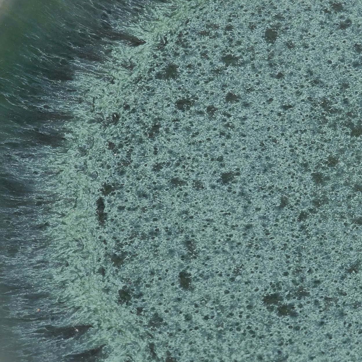 Aqua Dinner Plate Blue ø28cm 2