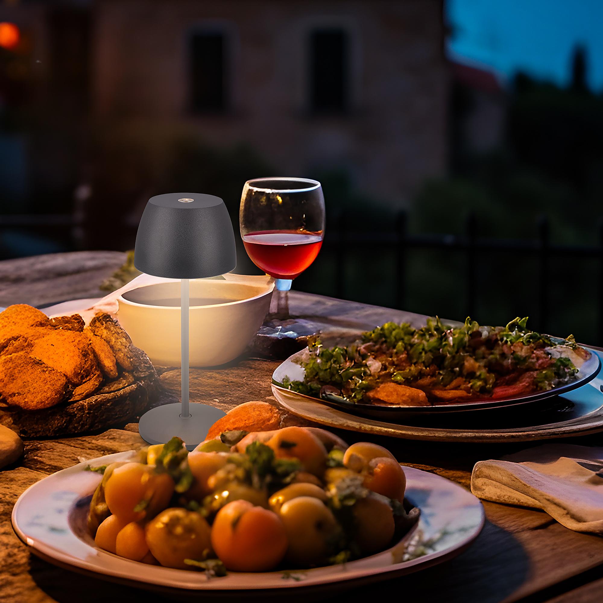 LED Akku Tischleuchte Serina Mini Typ B Grau 2