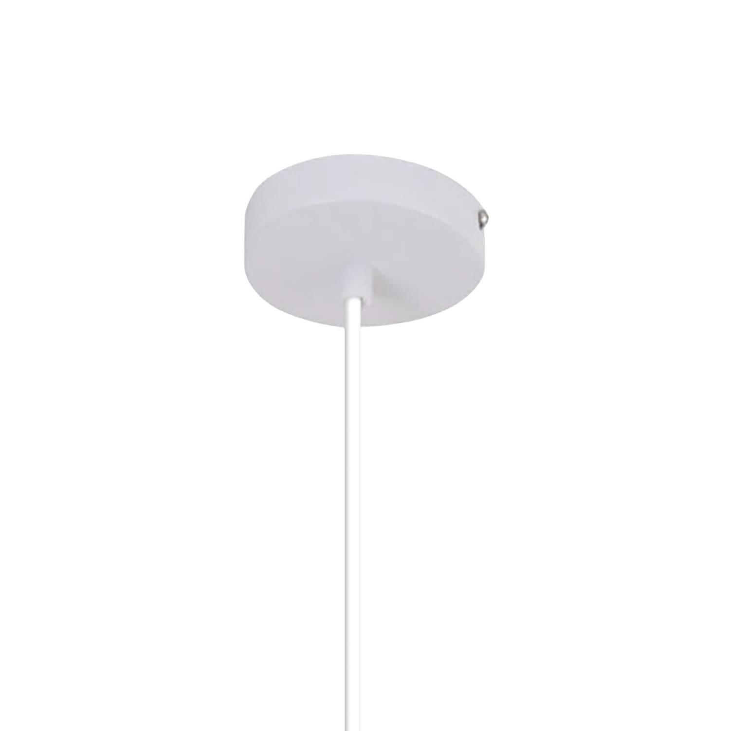 Andrea pendant light Stainless steel 1-bulb 2