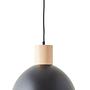 Pendelleuchte Daintree Schwarz 0