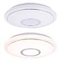 LED Ceiling Light Connor I 1-Light Acrylic Iron 3