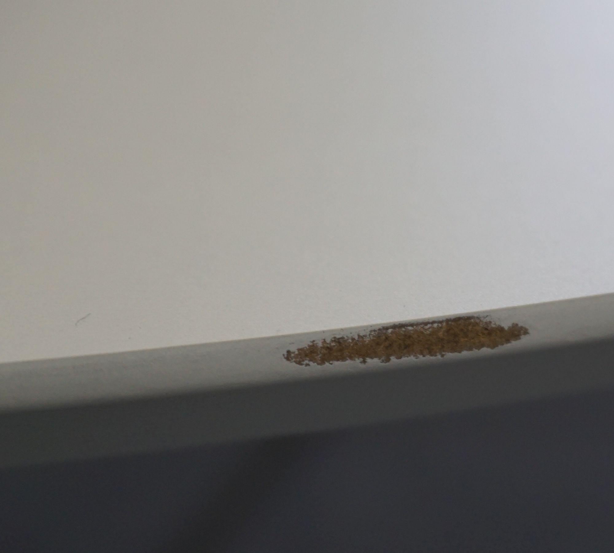 Allie Tavolo da pranzo Soap Oak Bianco Ø 100cm 5