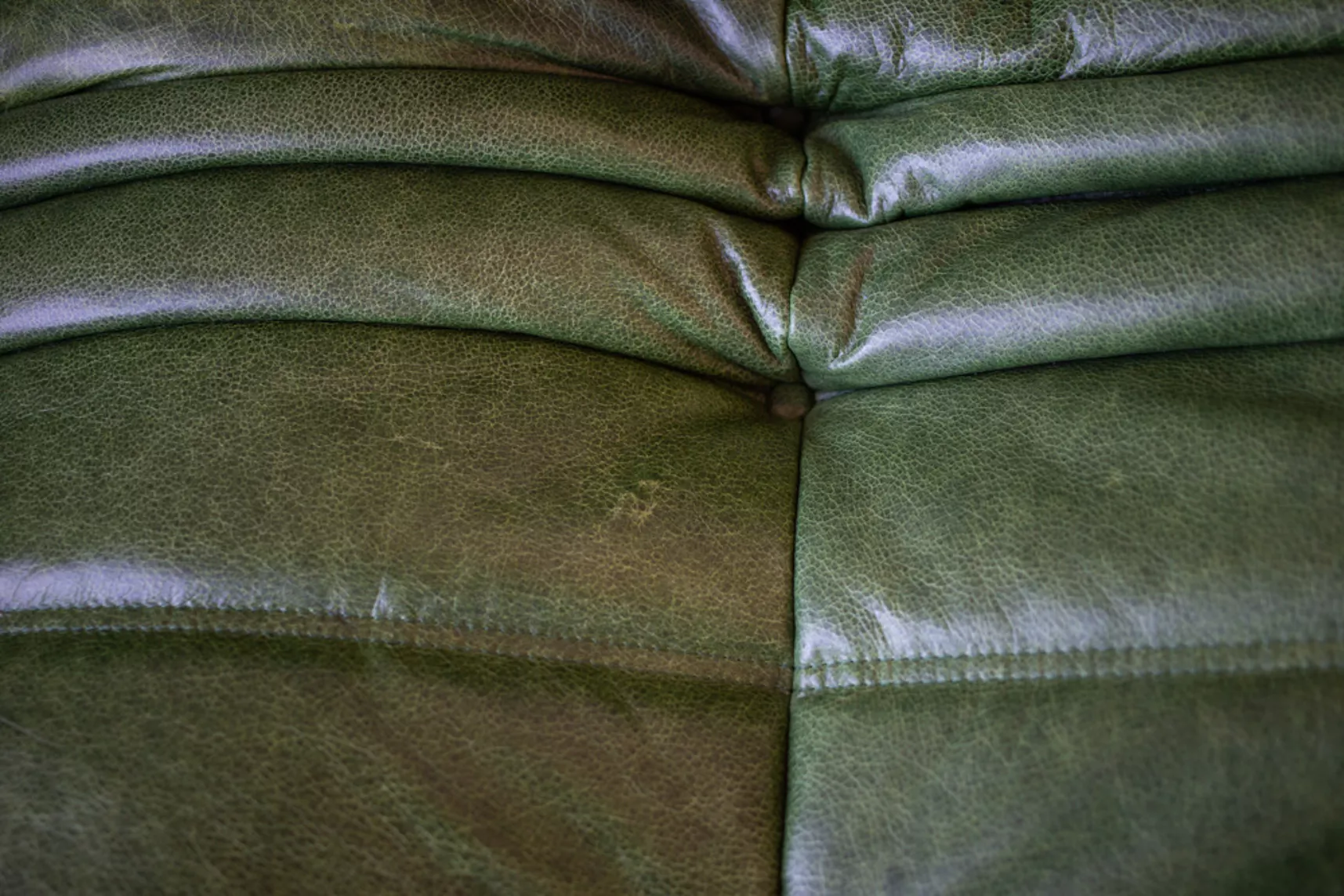 Togo Sofa 2-Sitzer Pull-Up-Leder Grün 5