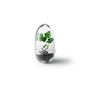 Grow Gewächshaus- Klein Transparent 0