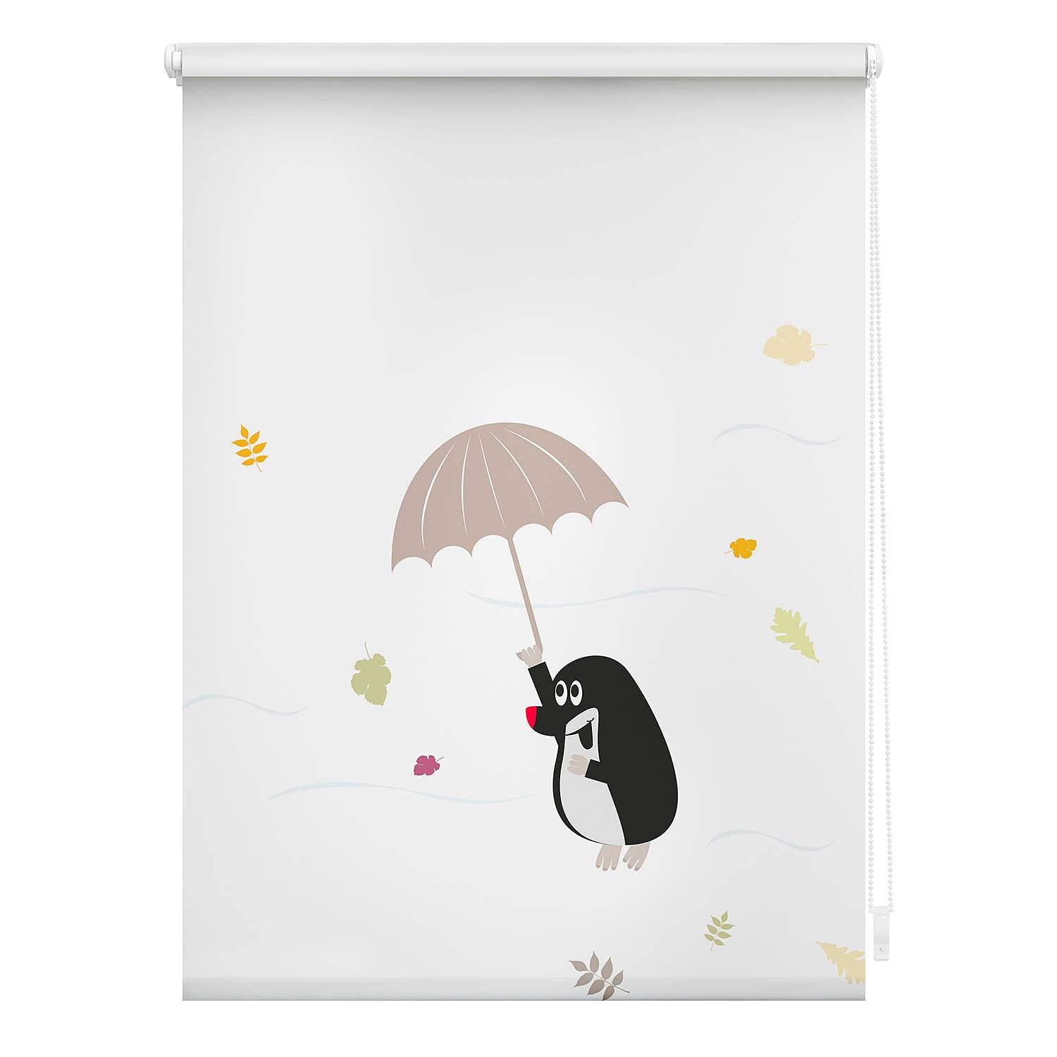 Klemmfix Rollo Maulwurf Polyester Mehrfarbig 45 x 150 cm 0