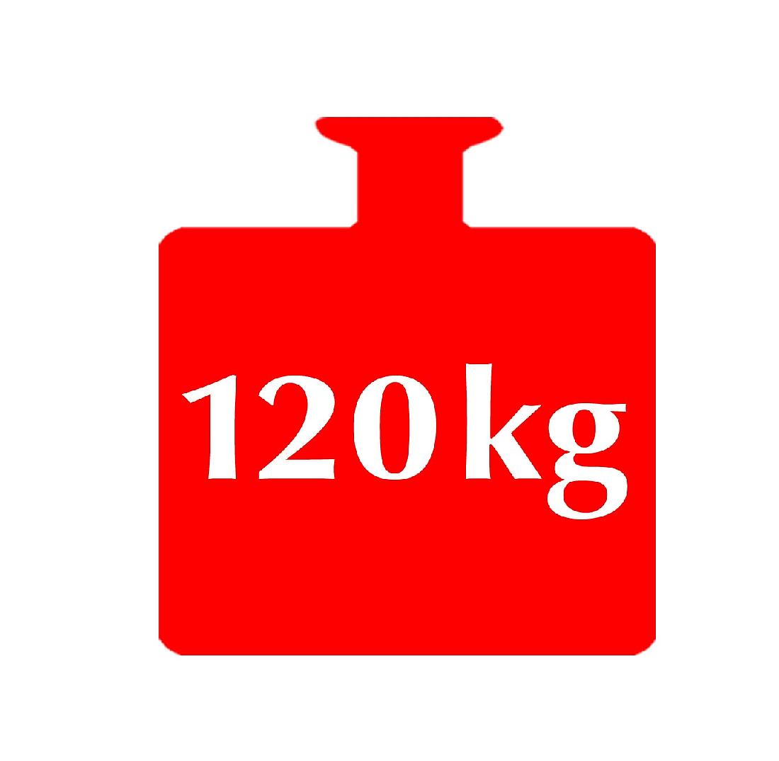 Einstiegshilfe für Badewanne 2