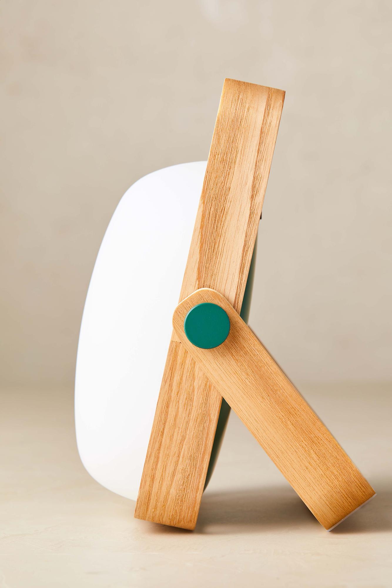 Vang Lampada Portatile con attacco Mini-USB Verde 3