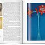 Mondrian Buch 2