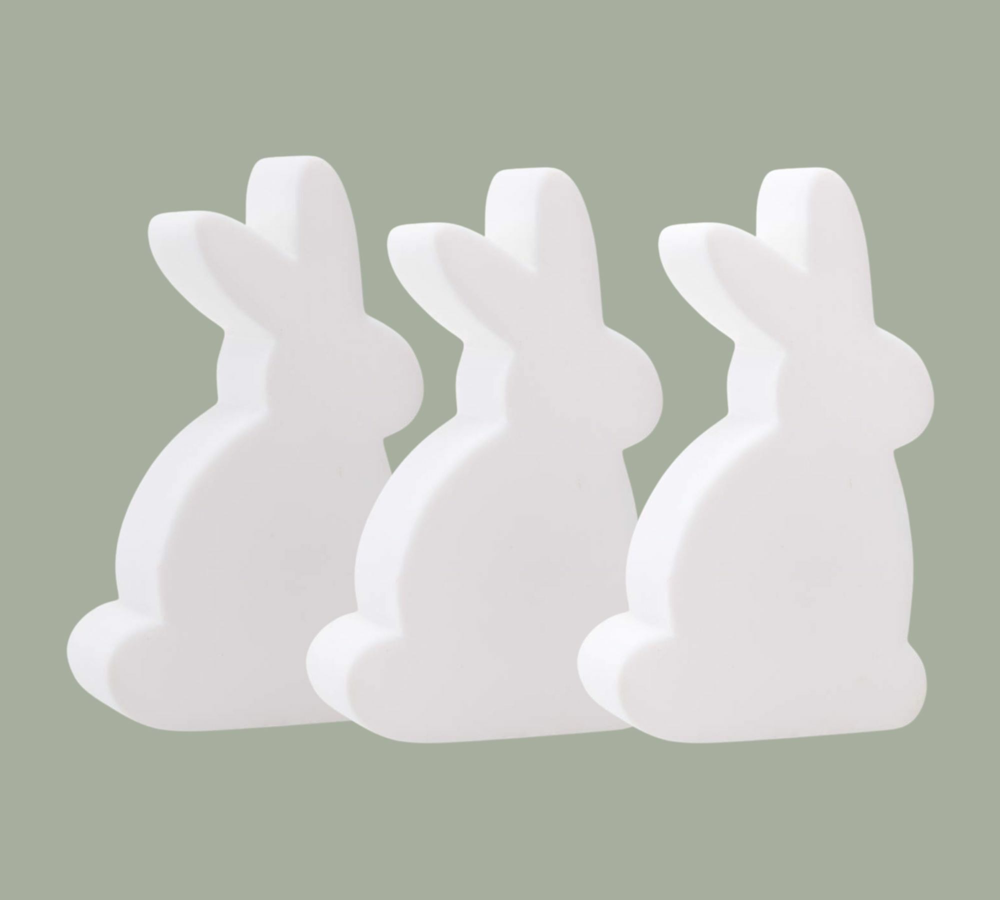 3x Motivleuchte Hase 0