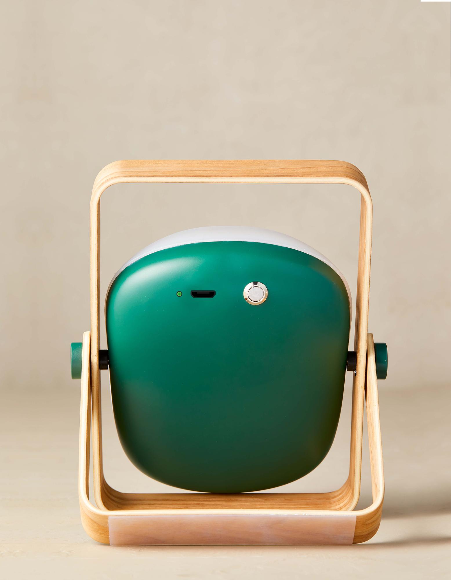 Vang Leuchte Tragbar mit Mini-USB-Anschluss Grün 4