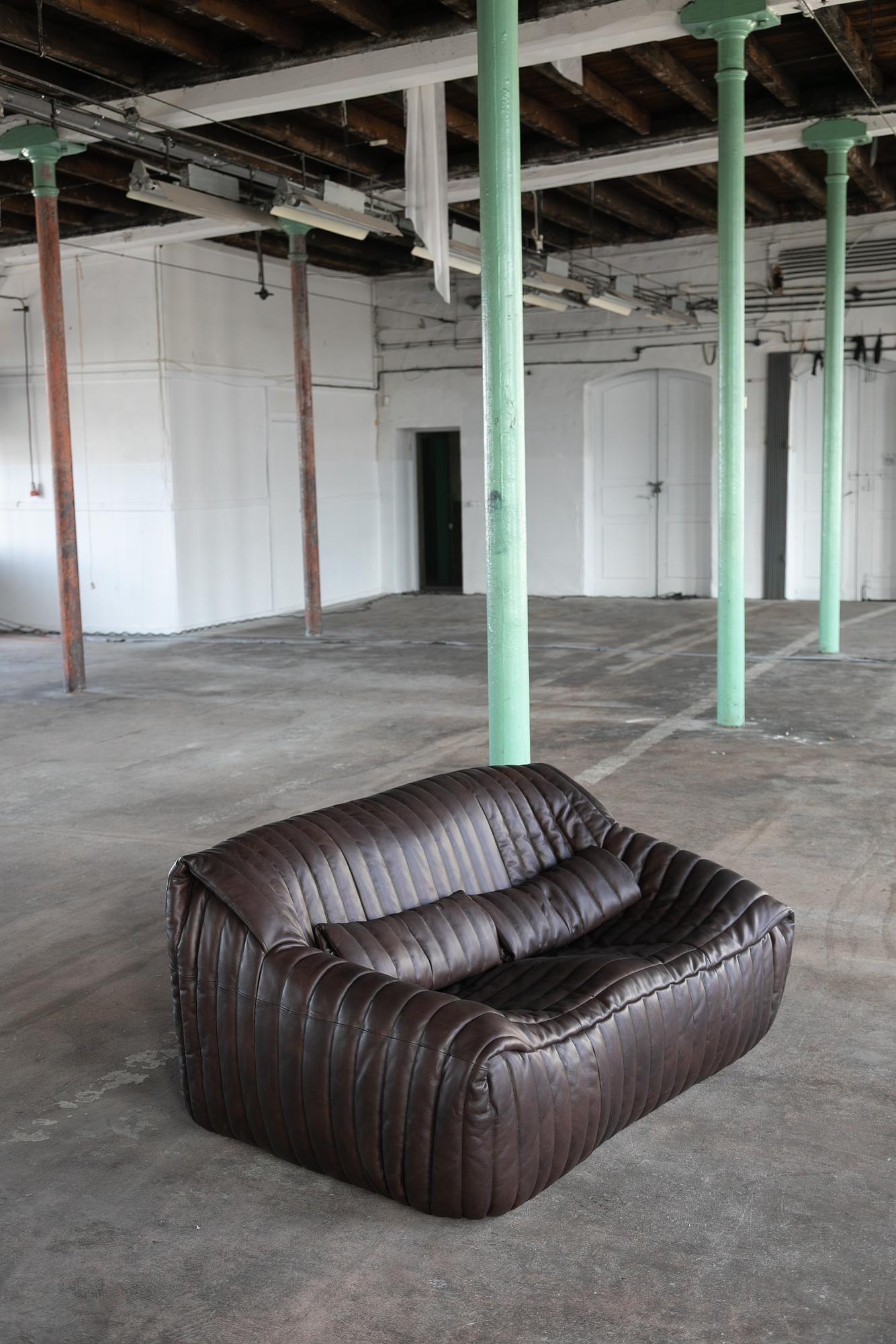 Sandra Sofa 2-Sitzer Glattleder Schokoladenbraun 1