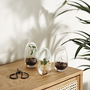 Grow Gewächshaus- Klein Transparent 1