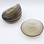 6x Vintage Schale Rauchglas 1980er Jahre 1