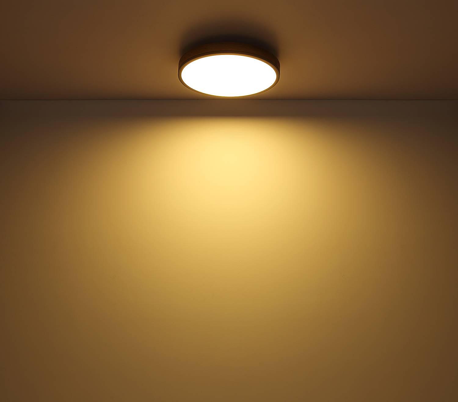 1-Flammig LED-Deckenleuchte Doro Typ H Acrylglas Eisen 3