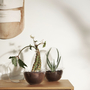Grow Gewächshaus- Xl Transparent 1