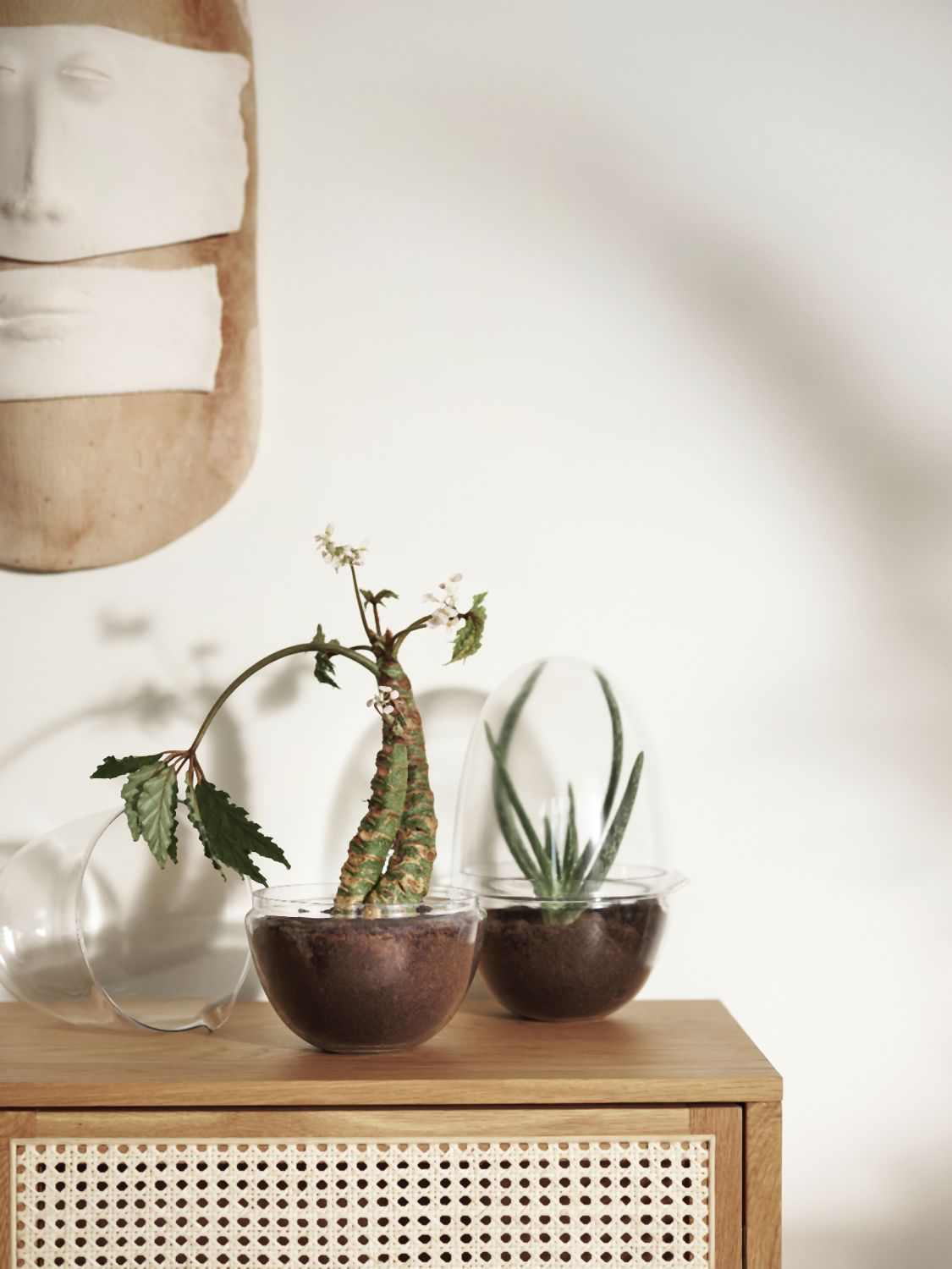Grow Gewächshaus- Xl Transparent 1