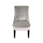 Stuhl Holz Samt Grau Silber  0