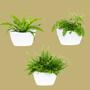 3x Wall Flower Pot Set White Vertical Garden 100% Recycled 4