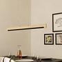 Camacho LED Pendant Light Plastic Steel 1-light 3