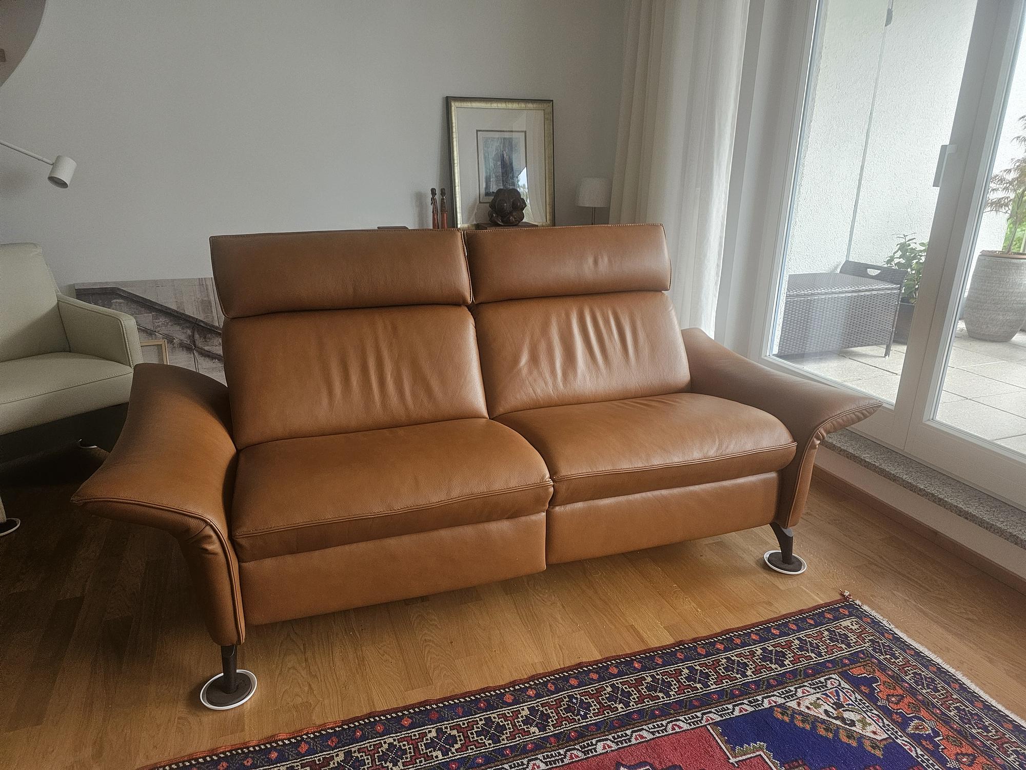 2,5-Sitzer Sofa Leder Braun 1