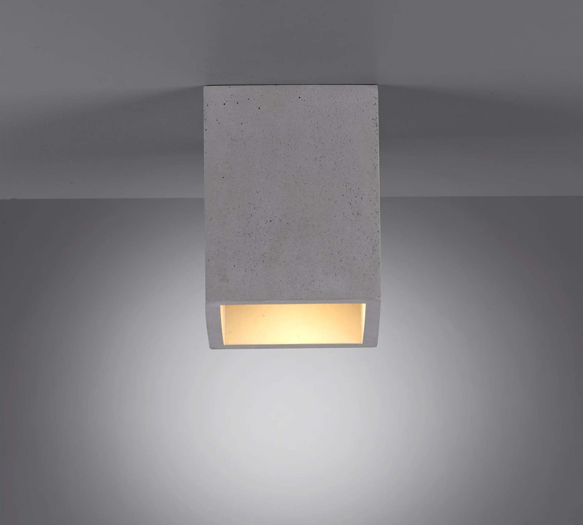 1-flammige Deckenleuchte Beton Metall Grau 2