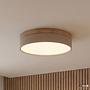 Ceiling Light Teneo 1-Light Iron Beige 0