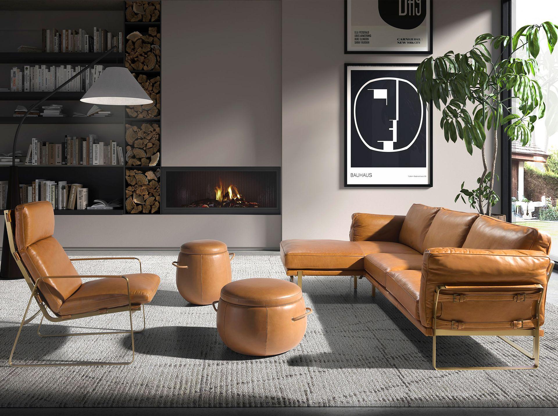 Kamelleder-Sessel 5170 3