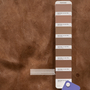 Maine Sofa 4-Sitzer by Machalke Leder Cognac 6