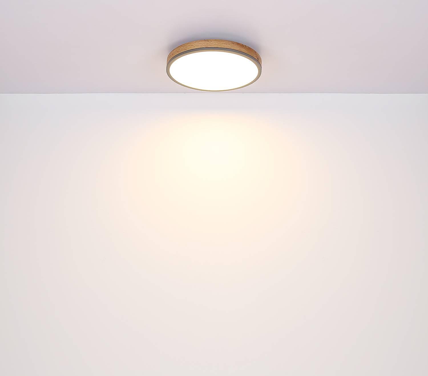 1-Flammig LED-Deckenleuchte Doro Typ H Acrylglas Eisen 4