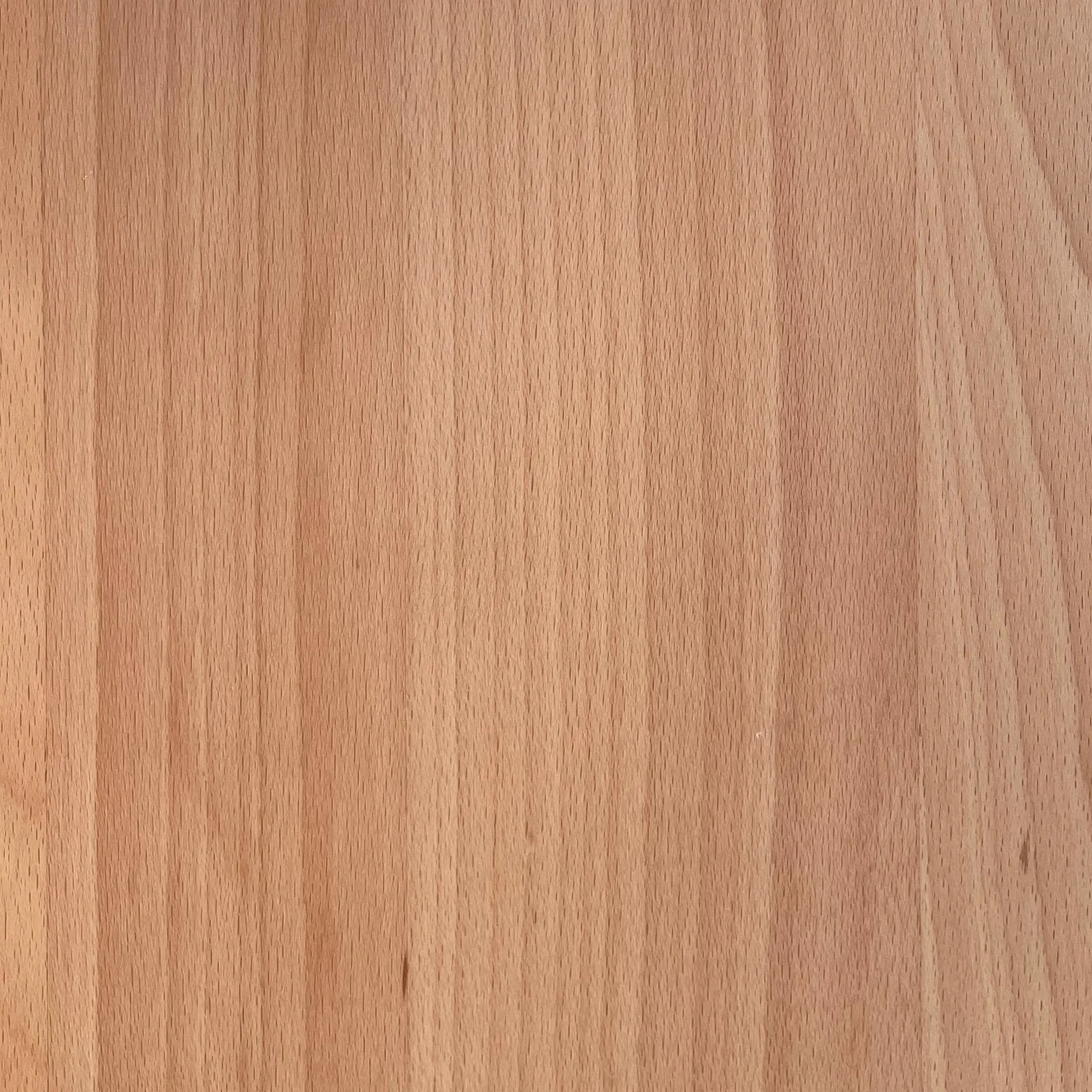 Link Duo Scaffale a parete Legno di faggio Acciaio Naturale 5