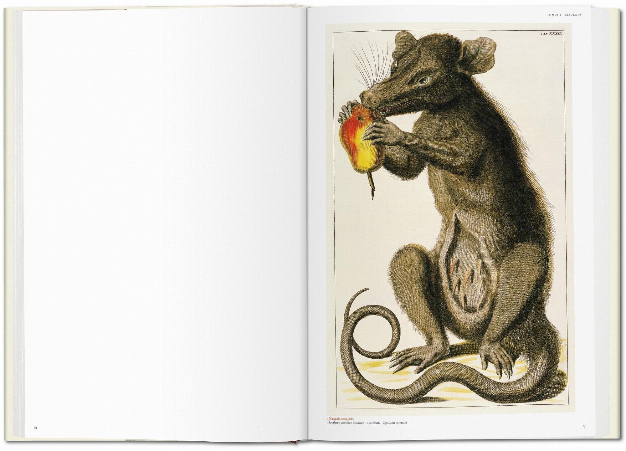 Seba. Cabinet of Natural Curiosities 1